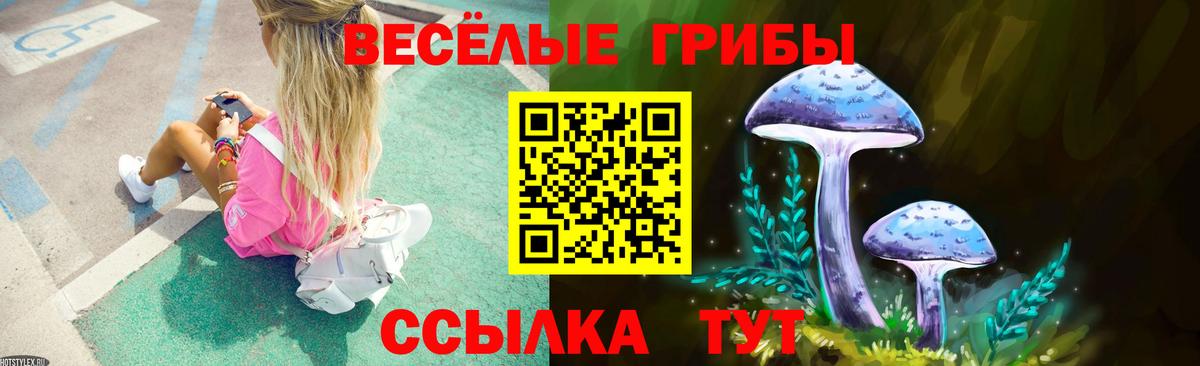 Галлюциногенные грибы Magic Shrooms  Вход с VPN  Волгоград 