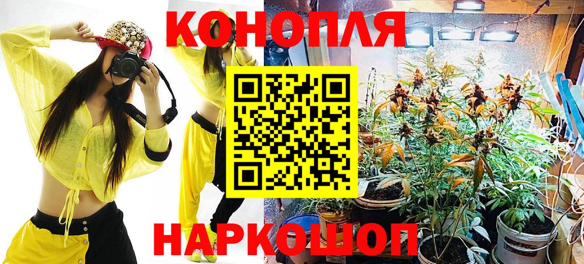 Бошки Шишки VHQ  Бошки Шишки White Widow  Вход с VPN  Каннабис OG Kush  Волгоград 